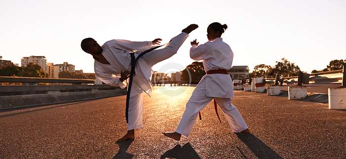 LES NIVEAUX AU KARATE