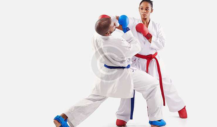 Les Armes Naturelles au Karate